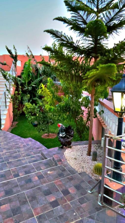 Hotel Riad Dar Salam Agádír Exteriér fotografie